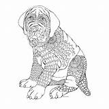 Coloring Boxer Pages Dog Puppy Getcolorings Printable Adult sketch template