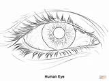 Coloring Pages Eye Human Printable Drawing Dot sketch template