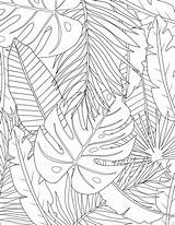 Tropical Coloring Leaves Leaf Pages Colouring Painting Line Drawing Audrey Chenal Flower Choose Board sketch template