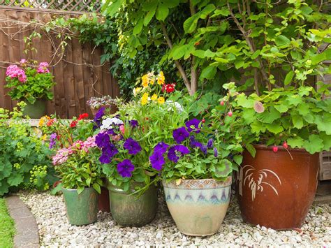 gardening tips  save time money  effort readers digest