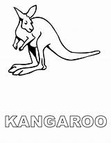 Kangaroo Coloring Kids Pages Drawing Outline Clipart Color Cliparts Printable Sheet Clip Library Popular Coloringhome Bestcoloringpagesforkids sketch template