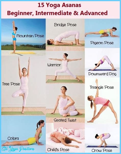 yoga poses beginner allyogapositionscom