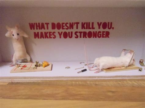 What Doesn T Kill You Makes You Stronger Free Shipping Etsy