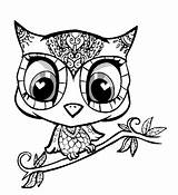 Owl Coloring Pages Clip Nocturnal Printable Bird Arts Cartoon sketch template