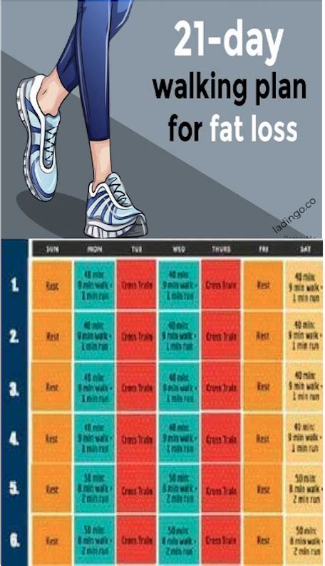 weight loss walking plan  tamil bmi formula