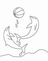 Delfin Ausmalbild Delfine Raskrasil Delphin Lieblingsspiel sketch template