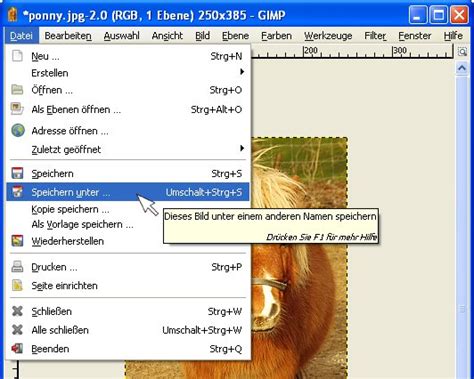 speichern mit idealer dateigroesse fuer websites mit gimp