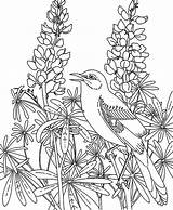 Garden Coloring Pages Flower Rose Fairy Printable Color Mockingbird Getcolorings Fairies Print Flowe sketch template