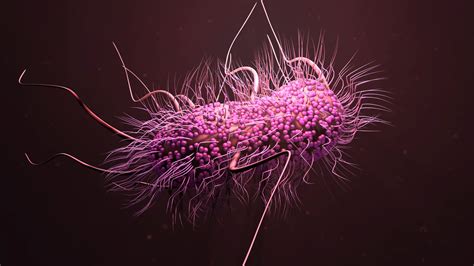 bacterial superbugs rs perry