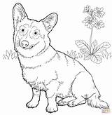Corgi Coloring Pages Welsh Dog Pembroke Hard Drawing Printable Color Cute Line Print Colouring Online Drawings Animals Getdrawings Kids Paper sketch template