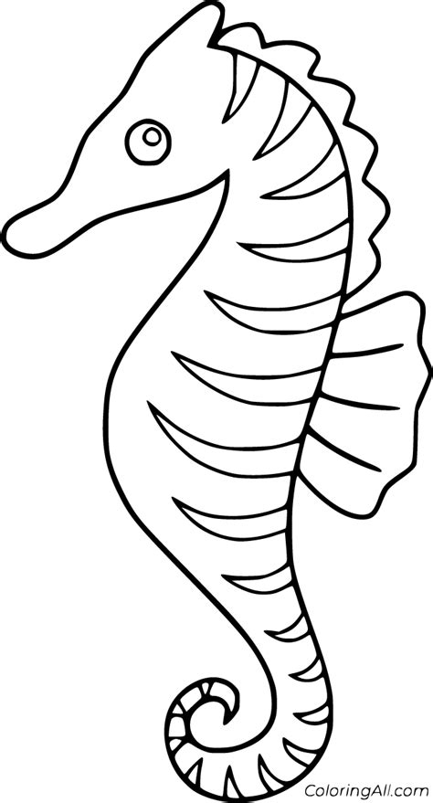 seahorse coloring pages   printables coloringall