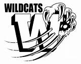 Wildcat Mascot Clipart Wildcats School Clip Basketball Paw Shirts Logo Spirit Cartoon Drawing Coloring Kentucky Pages Cliparts Jpeg Football Designs sketch template