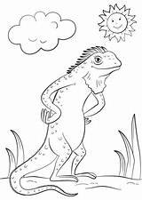 Coloring Cartoon Iguana Lizard Pages Printable Categories A4 Drawing sketch template