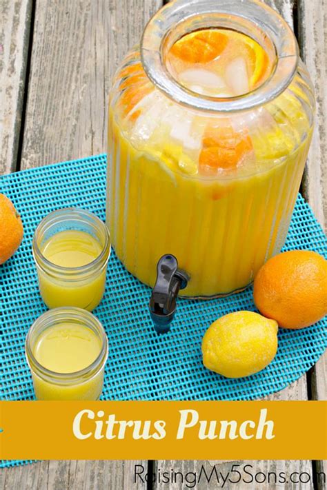 daysof celebrate summer recipes citrus punch mom  reviews