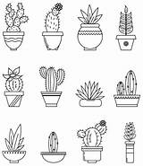 Coloring Succulent Cactus Pages Books Adult Succulents Plant Cleverpedia Colouring Cactuses Pots Tableau Choisir Un Dessin Journal sketch template