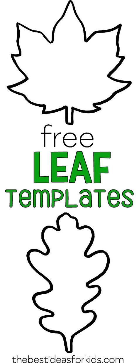 leaf template classroom ideas fall preschool fall leaf template