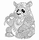 Bamboo Coloring Pages Panda Eating Getcolorings Print sketch template
