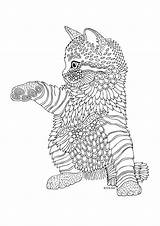 Coloring Pages Adult Colouring Book Cat Mandala Kittens Animal Colored Dp sketch template