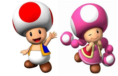 Toad And Toadette Video Games Amino