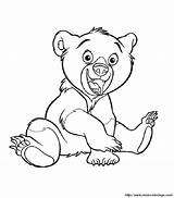 Ours Koda Orso Fratello Colorare Disegni Heureux Colorear Oso Frere Gratuit Hermano Caso Posto Cambiare Potete Pupung Dacolorare sketch template