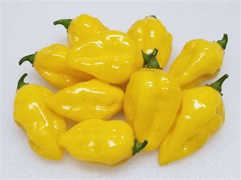 puerto rican yellow pepper seeds super hot chiles