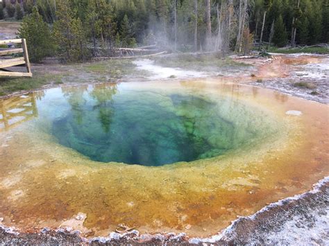 Morning Glory Pool In Yellowstone National Park R Pics