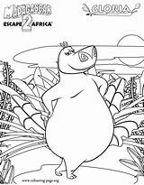Coloring Madagascar Gloria Hippopotamus Forest Pages Fun Africa Kids Colouring Personal Escape Create Library Gif Animals Printable sketch template