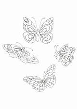 Coloriage Papillons Papillon Ailes Leurs Battent Hugolescargot Visiter sketch template