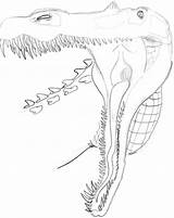 Suchomimus sketch template