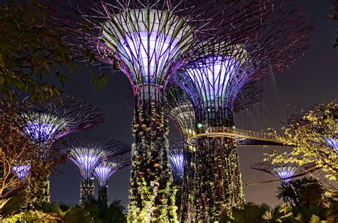 Gardens By The Bay Urban Park In Singapore Thousand