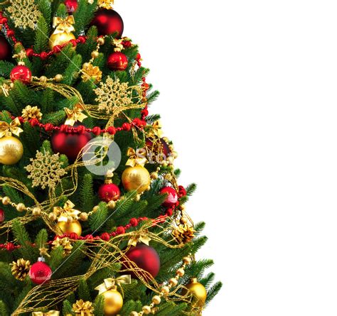 decorated christmas tree  white background royalty  stock