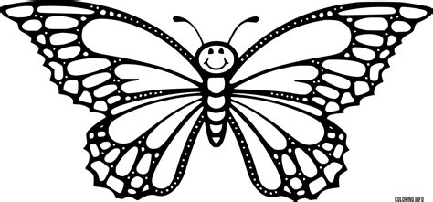 cute beautiful butterfly coloring page printable