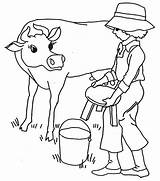Milking Coloring Cow Pages Chair Put Before Little Color sketch template