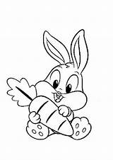 Carrot Coloring Bunny Pages Drawing Line Getdrawings sketch template
