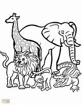 Coloring Animal Pages Animals Worksheets Zoo Worksheet Sheets sketch template