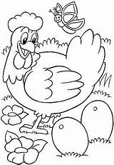 Coloring Chicken Egg Pages Getcolorings sketch template