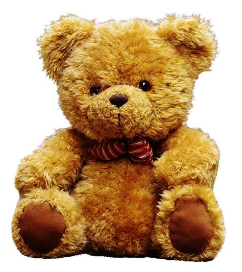 collection  teddy bear png hd pluspng