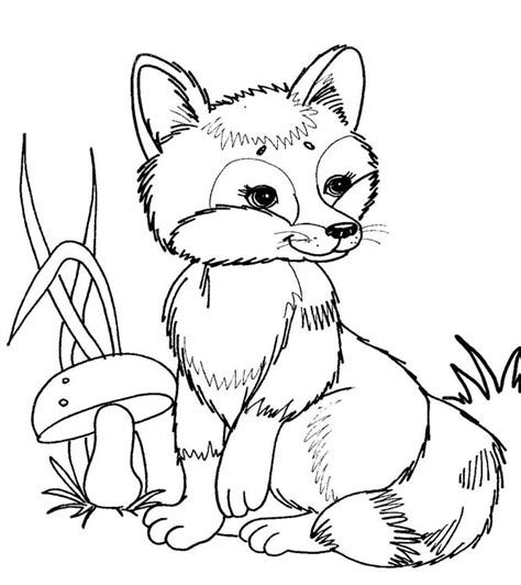 forest animal coloring pages  preschoolers