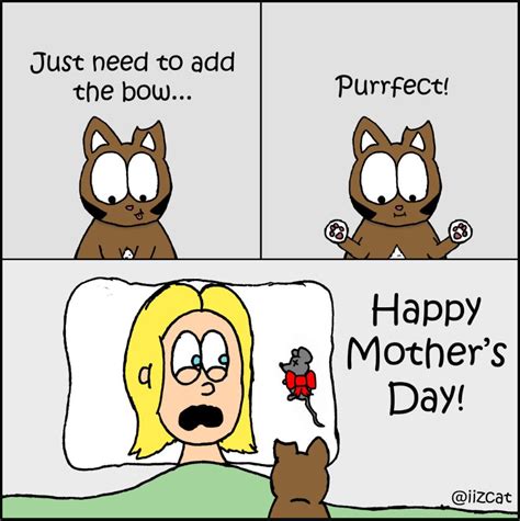 happy mothers day   cat