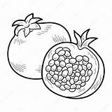 Vegetables Fruits Coloring Book Stock Pomegranate Vector Depositphotos Illustration Ksenya Savva sketch template