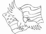 Eagle Bald Flag Usa Coloring Pages Printable Patriotic Eagles Activities sketch template