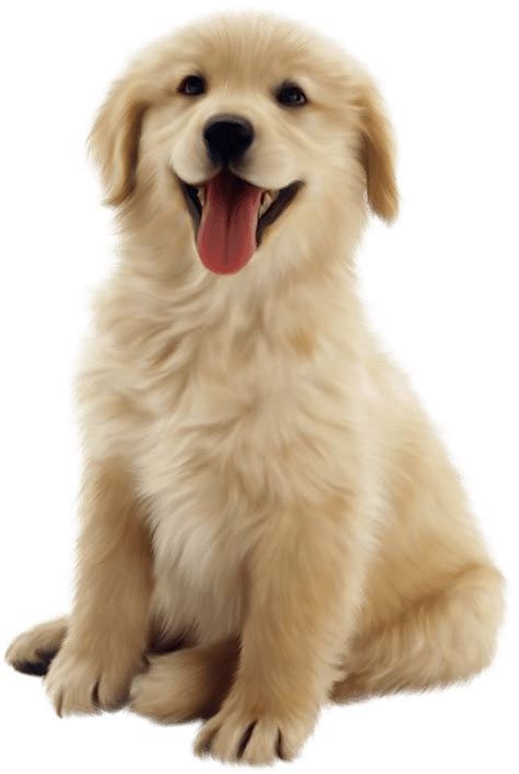 clipart puppy realistic picture  clipart puppy realistic