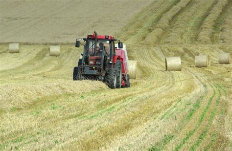 tractor harvesting hay stock image image  harvesting
