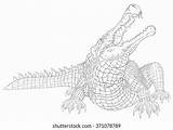 Coloring Deinosuchus Sarcosuchus Pages Line Drawing Shutterstock Template sketch template