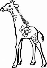 Giraffe Coloring Pages Printable Animals Unusual sketch template