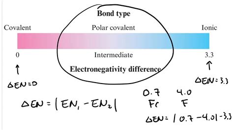 electronegativity en bond polarity youtube