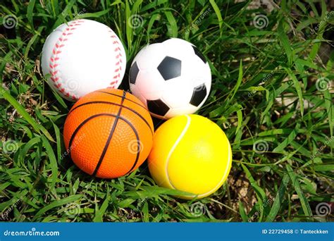 sport balls   grass royalty  stock  image