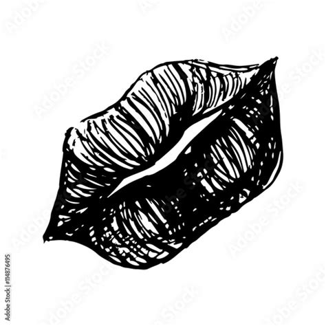 monochrome black  white lips sketched  art vector stock image
