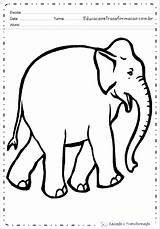 Elefante Desenhos sketch template