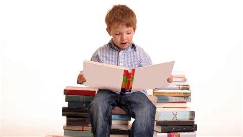 survey finds   zealand adults didnt read  book   stuffconz